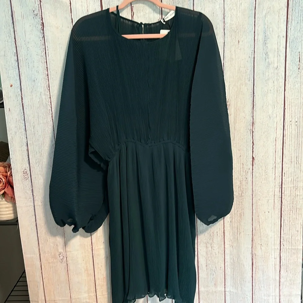 NWT Floret Studios Pleated Long Sleeve Mini Dress